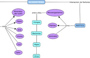 FACTORES BIÓTICOS Y ABIÓTICOS DEL MEDIO AMBIENTE